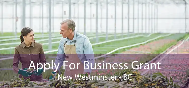 Apply For Business Grant New Westminster - BC